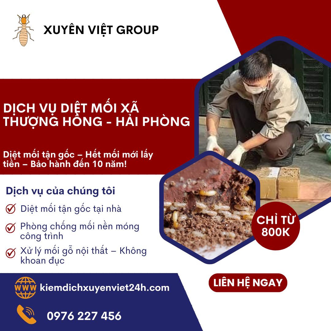 Dịch vụ diệt mối xã Thượng Hồng, Hải Phòng