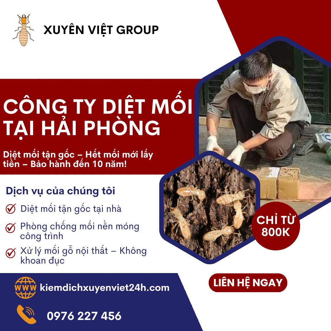 Công ty diệt mối tại Hải Phòng