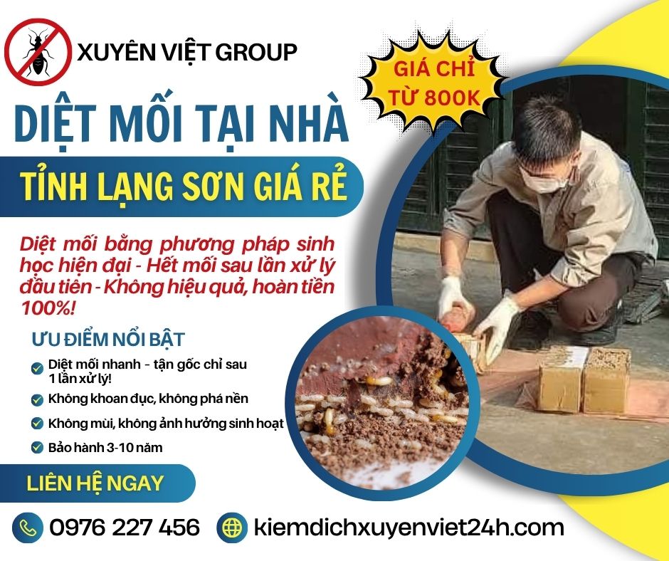 Dịch vụ diệt mối tại nhà ở Lạng Sơn