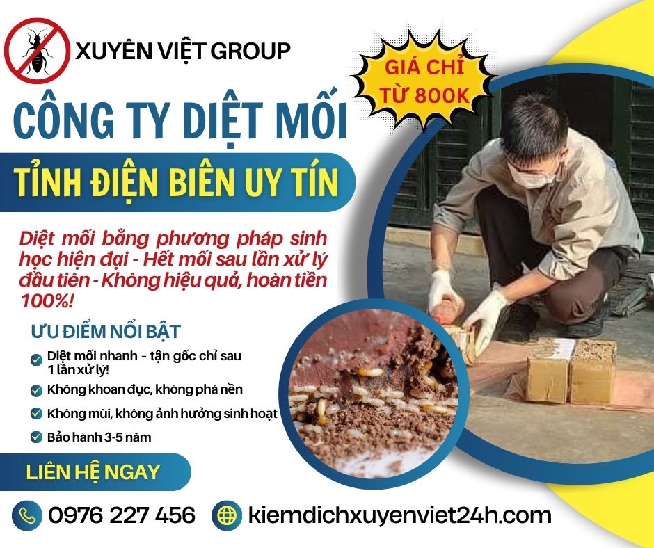 Công ty diệt mối tại Điện Biên