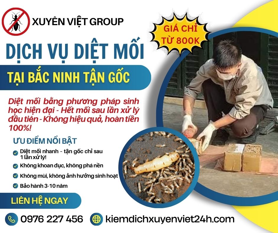 Diệt mối tận gốc tại Bắc Ninh