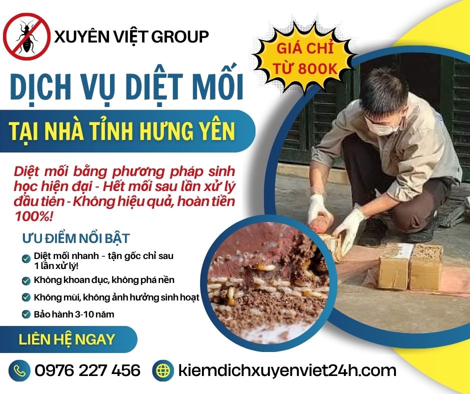 Diệt mối tận nhà tại Hưng Yên