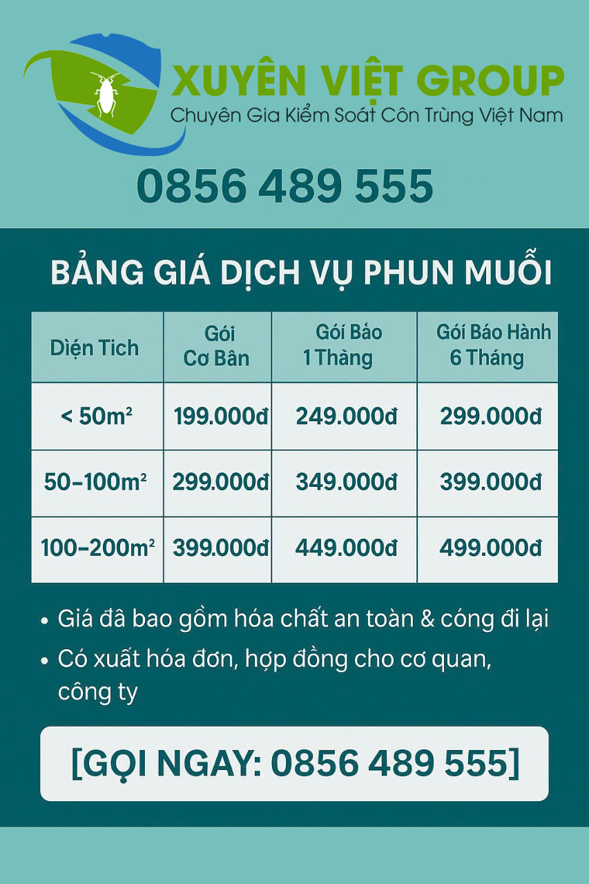 Xuyên Việt Group cũng cung cấp các gói dịch vụ đặc biệt