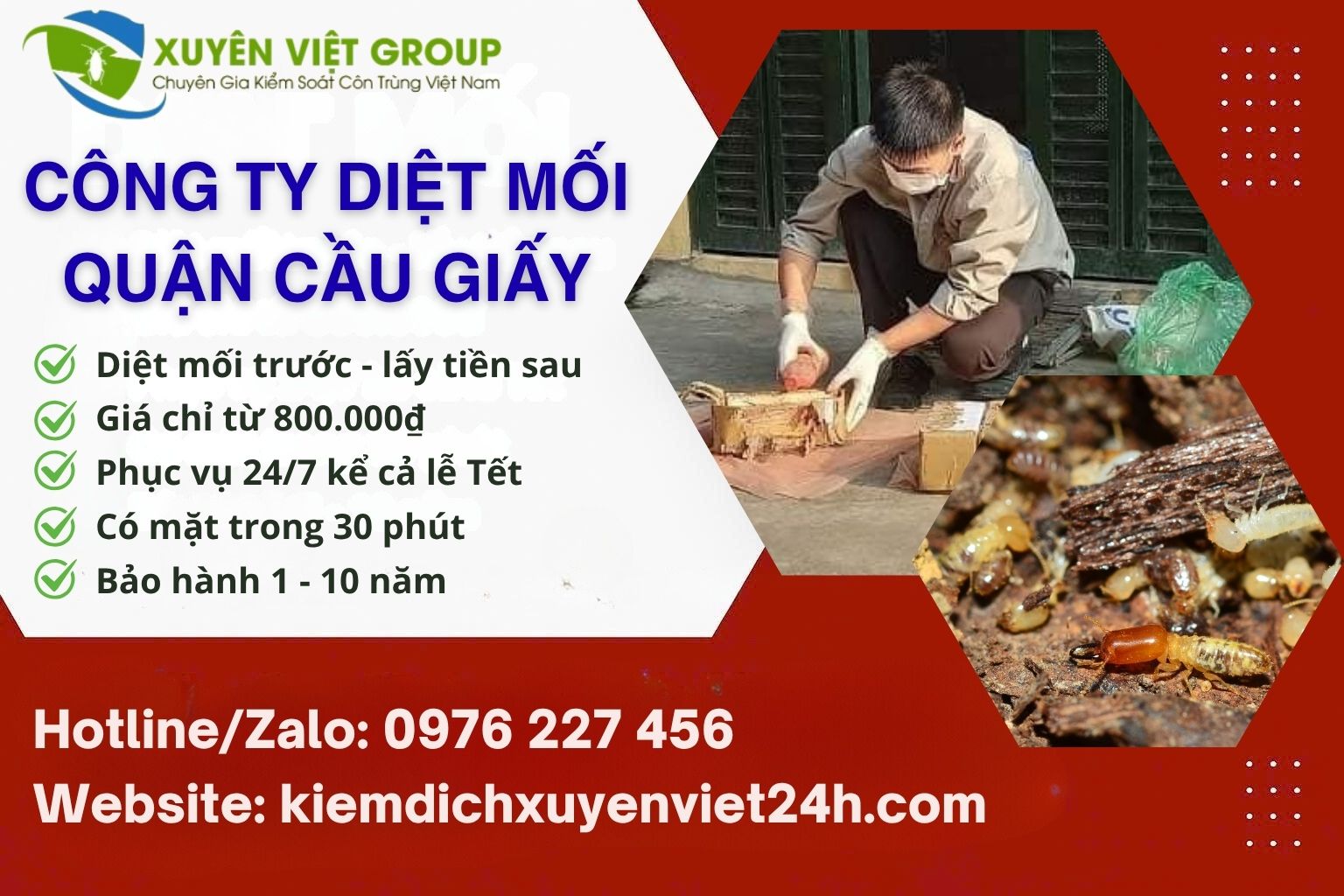 Công ty diệt mối quận Cầu Giấy