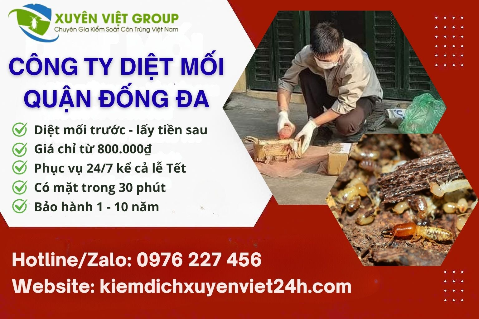 Công ty diệt mối quận Đống Đa uy tín