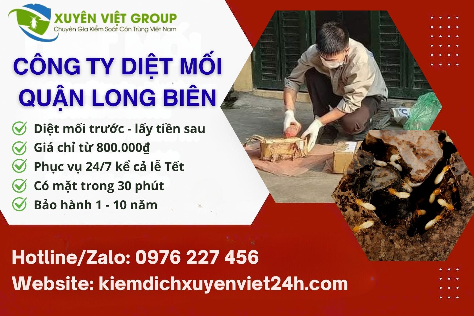 Công ty diệt mối quận Long Biên