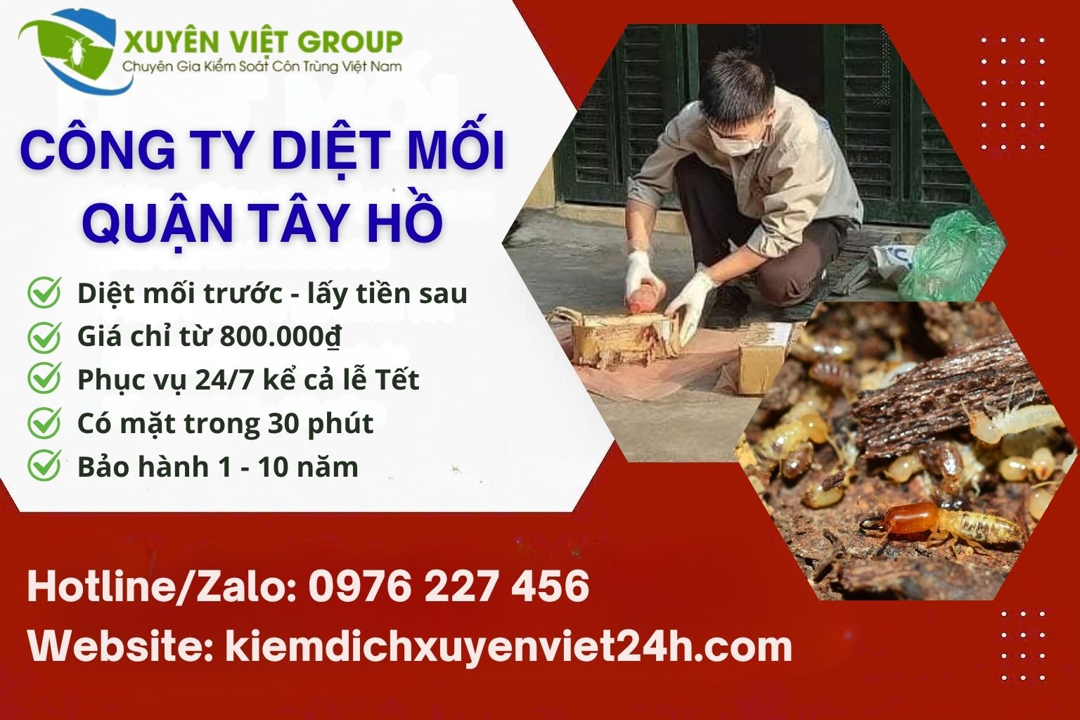 Công ty diệt mối quận Tây Hồ uy tín