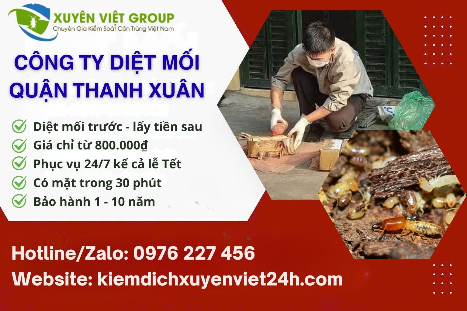 Công ty diệt mối quận Thanh Xuân uy tín
