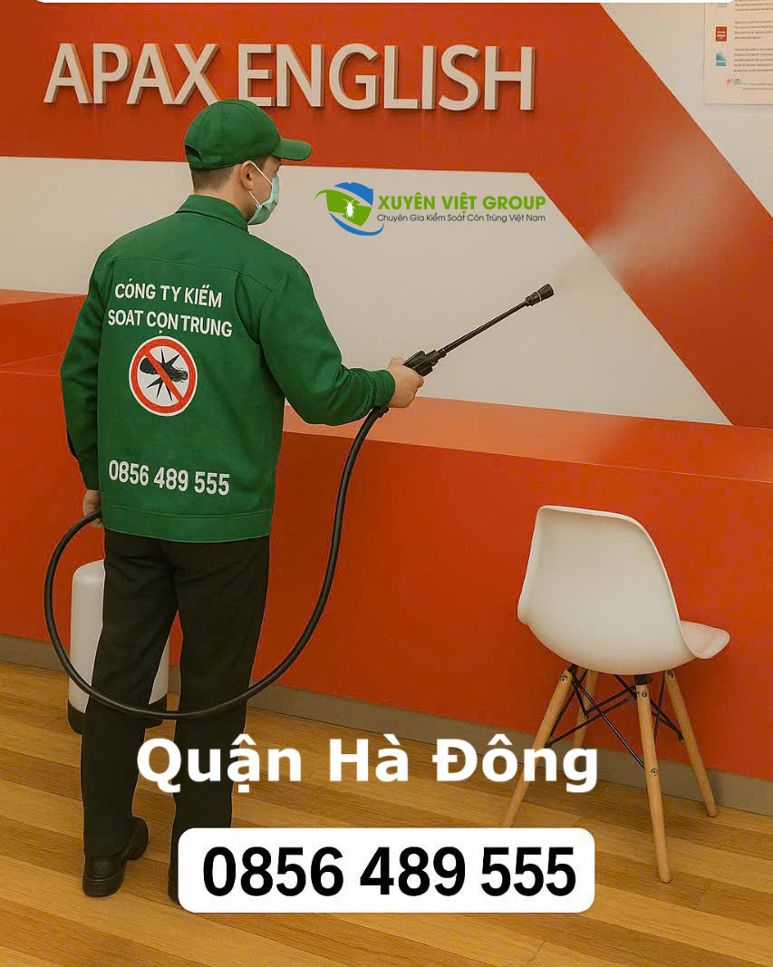 Công ty phun thuốc diệt muỗi quận Hà Đông
