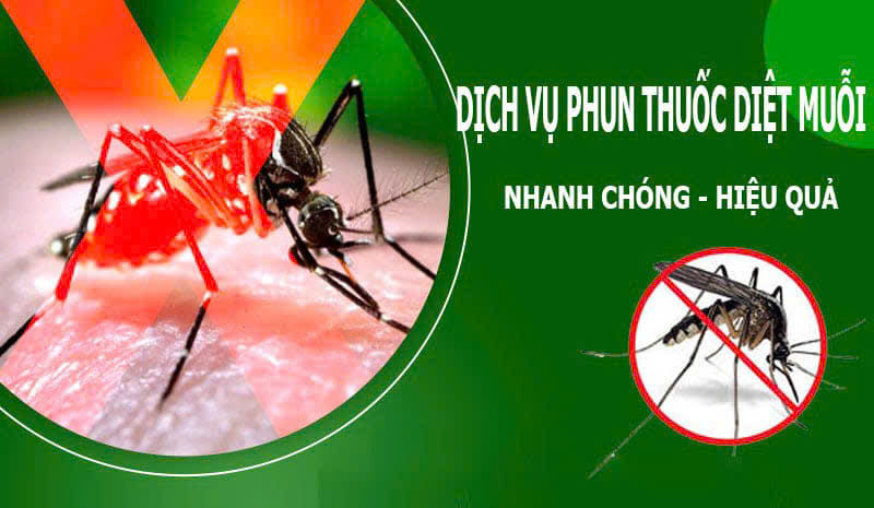 Dịch vụ uy tín, tận tâm