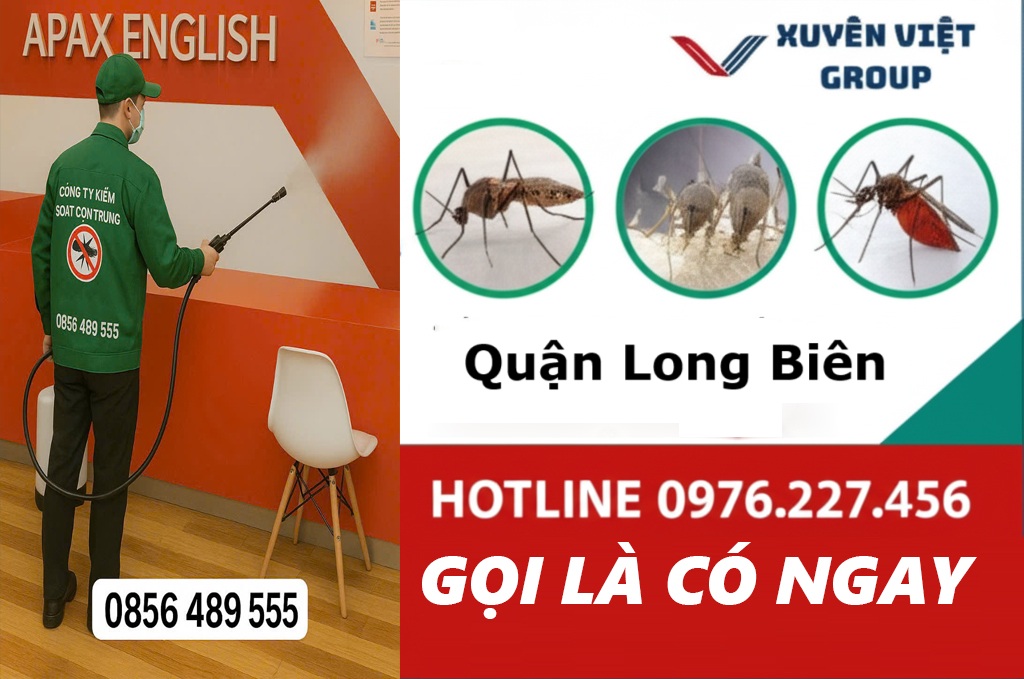 Công ty xịt muỗi tại quận Long Biên diệt sạch muỗi tận gốc