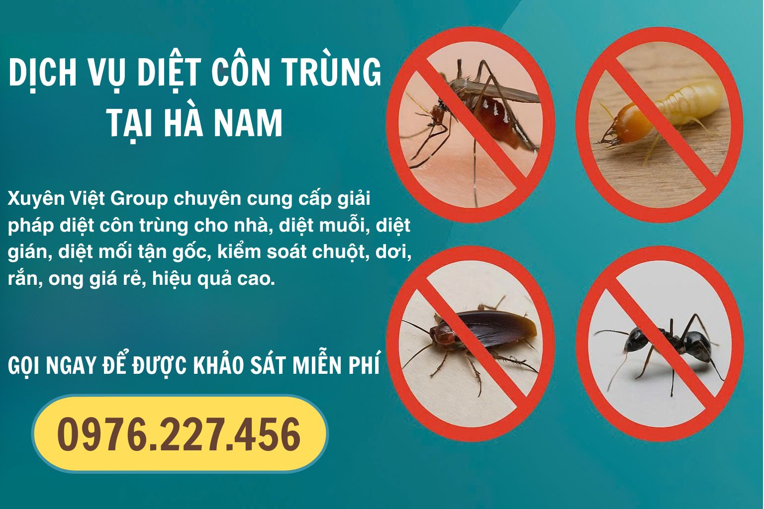 Thuê dịch côn trùng tại Hà Nam uy tín