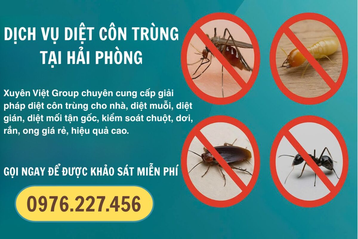 Thuê dịch vụ diệt côn trùng Hải Phòng uy tín, giá rẻ