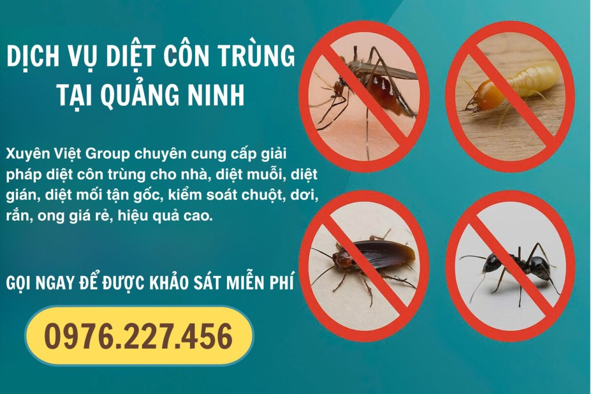 Thuê dịch vụ diệt côn trùng tại Quảng Ninh giá rẻ