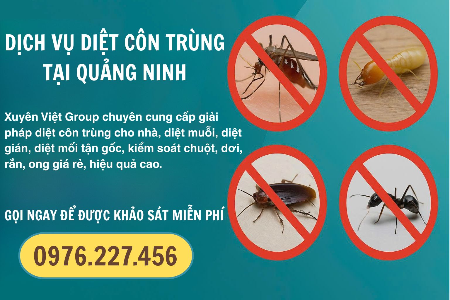 Thuê dịch vụ diệt côn trùng tại Quảng Ninh giá rẻ