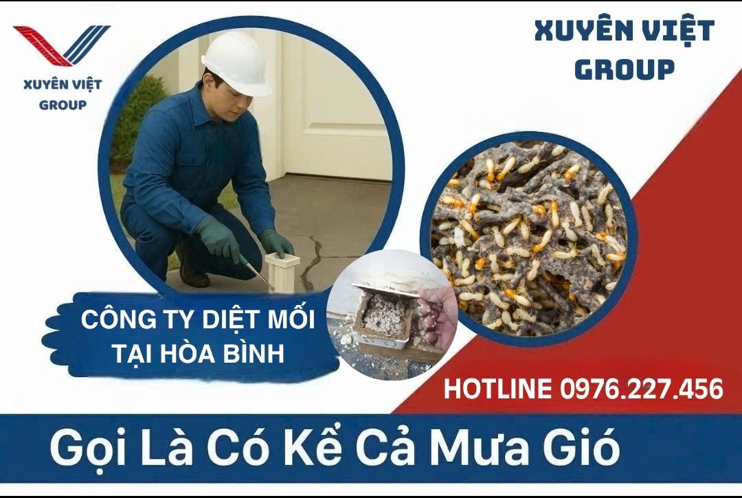 Công ty diệt mối tại Hòa Bình
