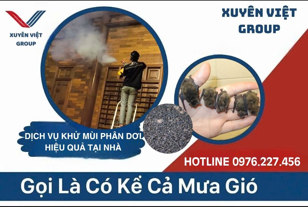 Dịch vụ xử lý mùi phân dơi