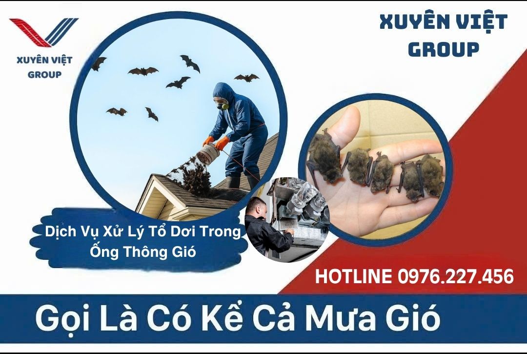 Xử Lý Tổ Dơi Trong Ống Thông Gió