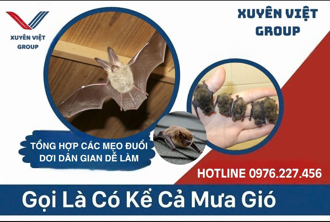 Mẹo đuổi dơi dân gian