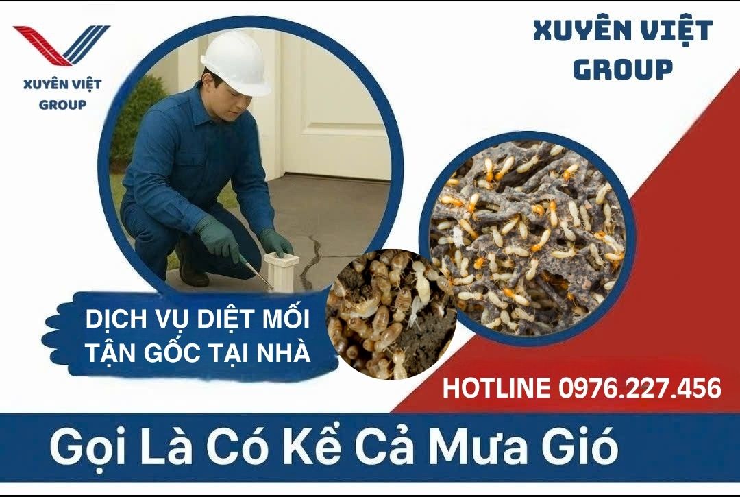 diệt mối tận gốc