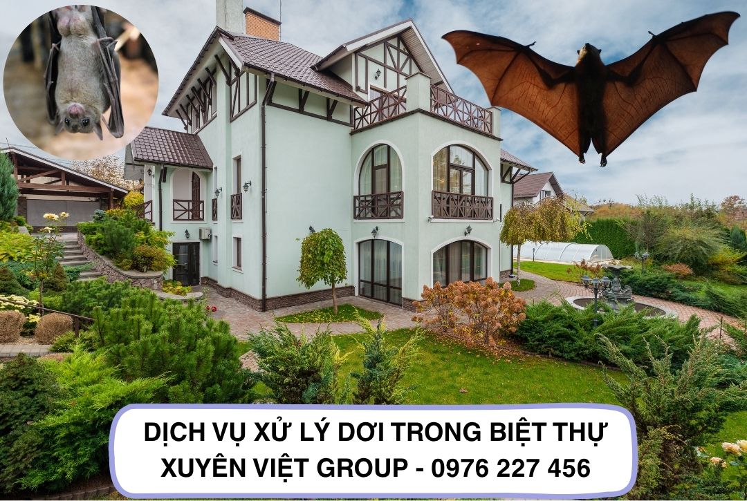 Dịch vụ đuổi dơi trong biệt thự