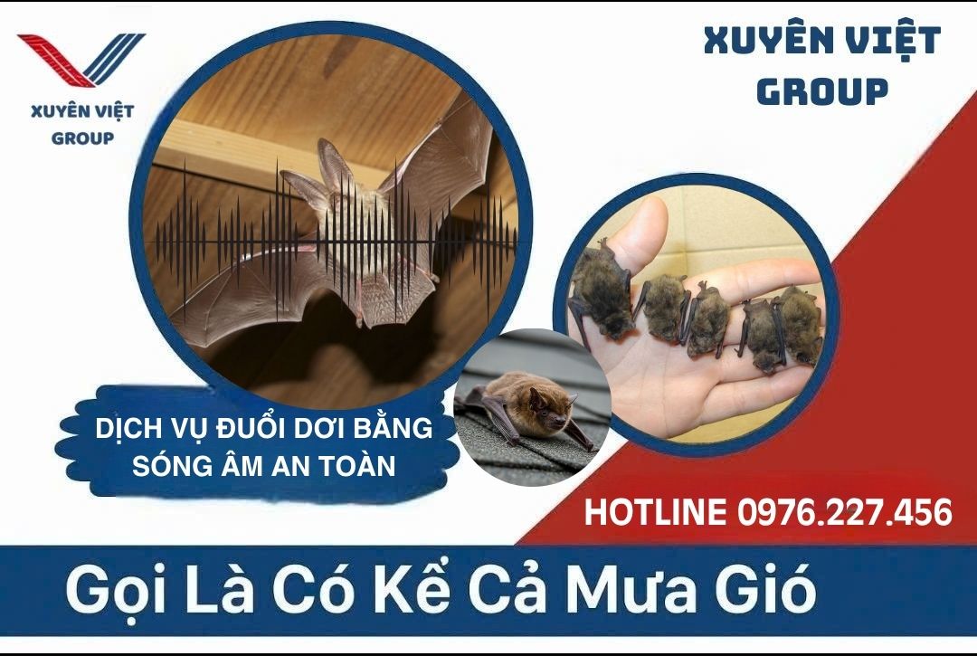 Dịch vụ đuổi dơi bằng sóng âm