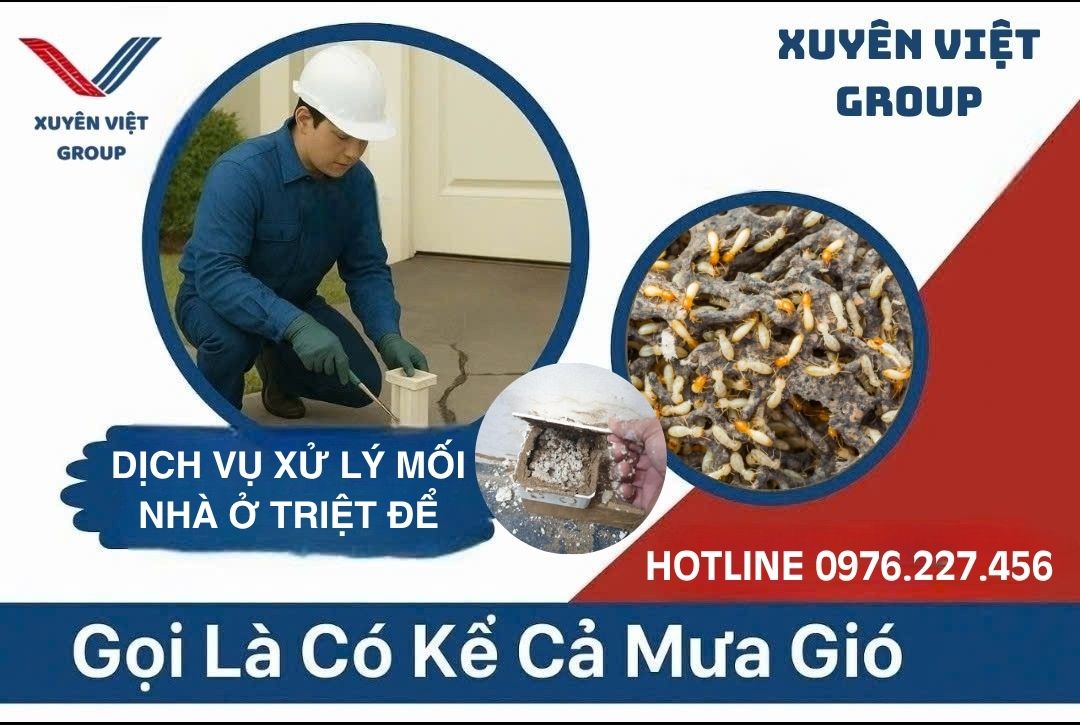 Dịch vụ xử lý mối nhà ở