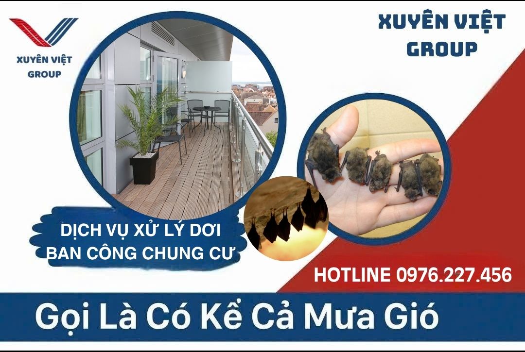 Xử lý dơi ban công chung cư