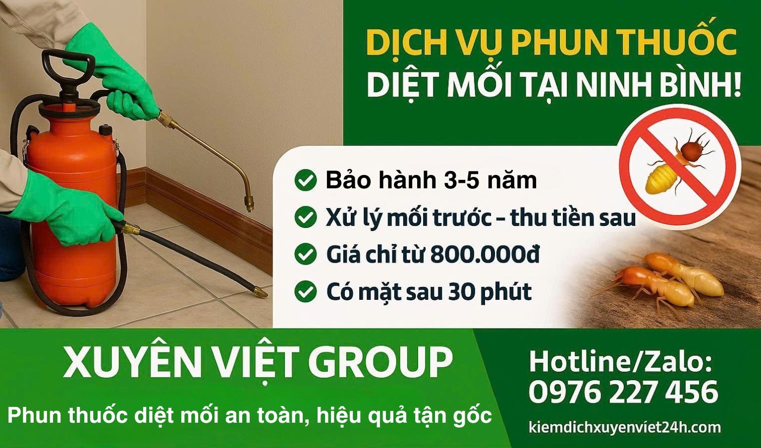 Dịch vụ phun thuốc diệt mối tại Ninh Bình