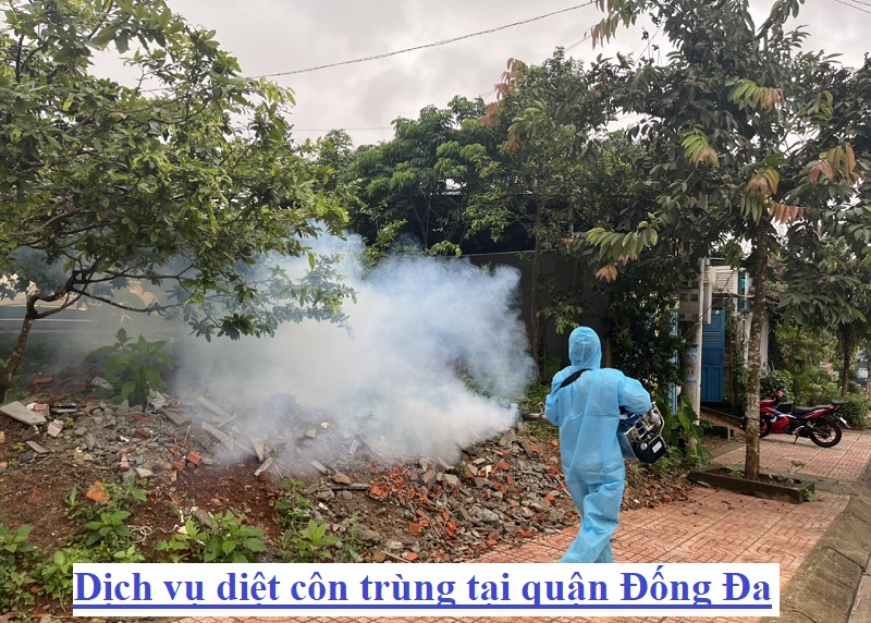 Công ty xịt muỗi tại quận Long Biên