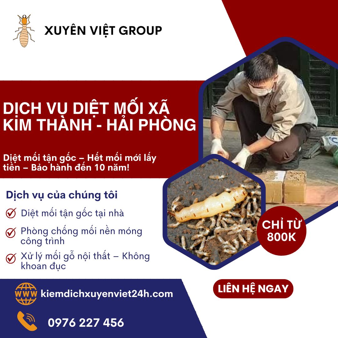Dịch vụ diệt mối xã Kim Thành, Hải Phòng