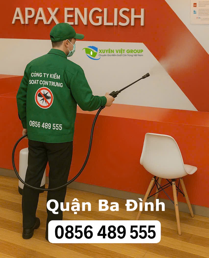 Dịch vụ phun muỗi tại quận Ba Đình - 0976 227 456