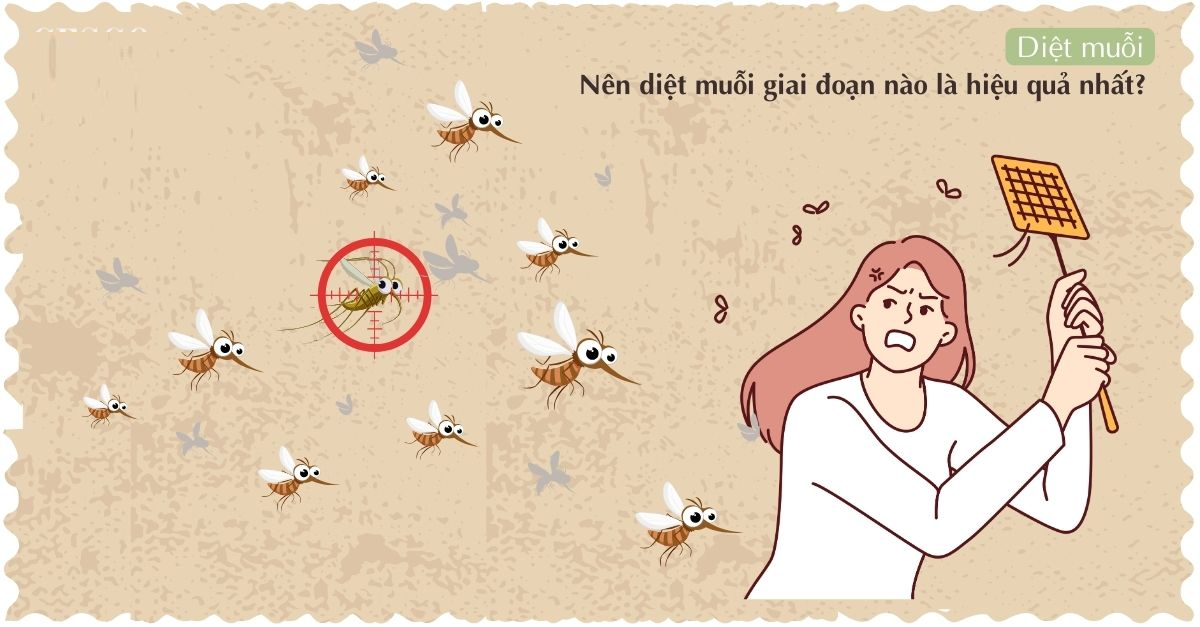 Diệt muỗi tận gốc là một quy trình kiểm soát tổng thể