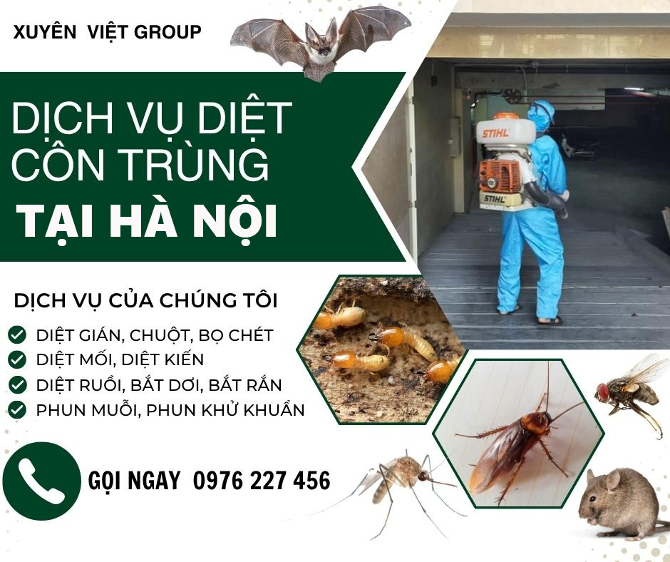 Đơn vị diệt côn trùng Hà Nội uy tín nhất hiện nay