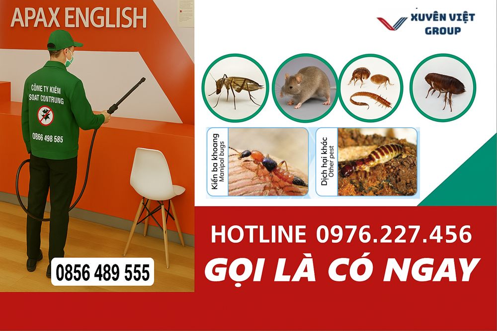 ƯU ĐIỂM KHI DÙNG DỊCH VỤ TẠI XUYÊN VIỆT GROUP