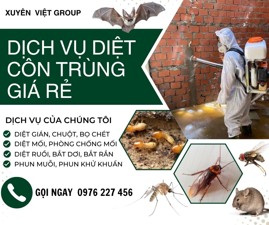 Diệt côn trùng giá rẻ