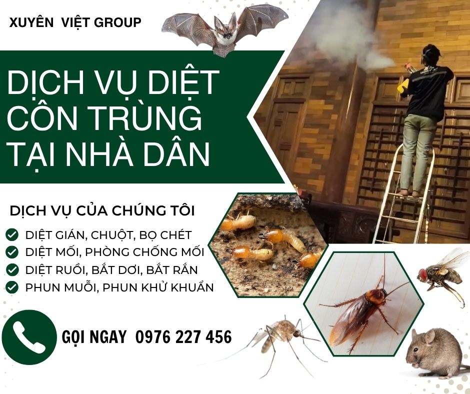 Diệt côn trùng cho nhà dân