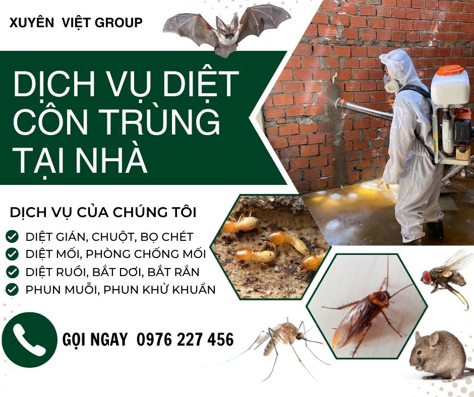 Diệt côn trùng tại nhà