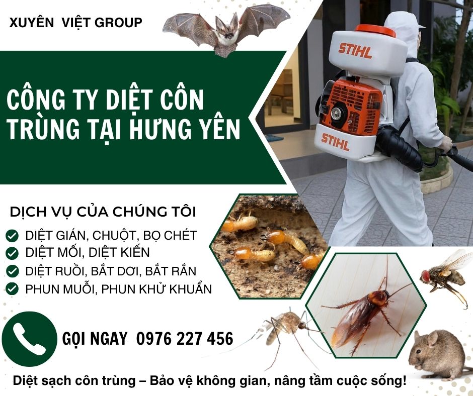 Công ty diệt côn trùng tại Hưng Yên