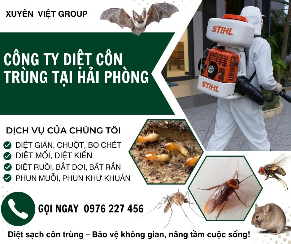 Công ty diệt côn trùng tại Hải Phòng uy tín, giá rẻ