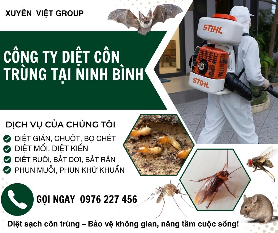 Công ty diệt côn trùng tại Ninh Bình uy tín, giá rẻ