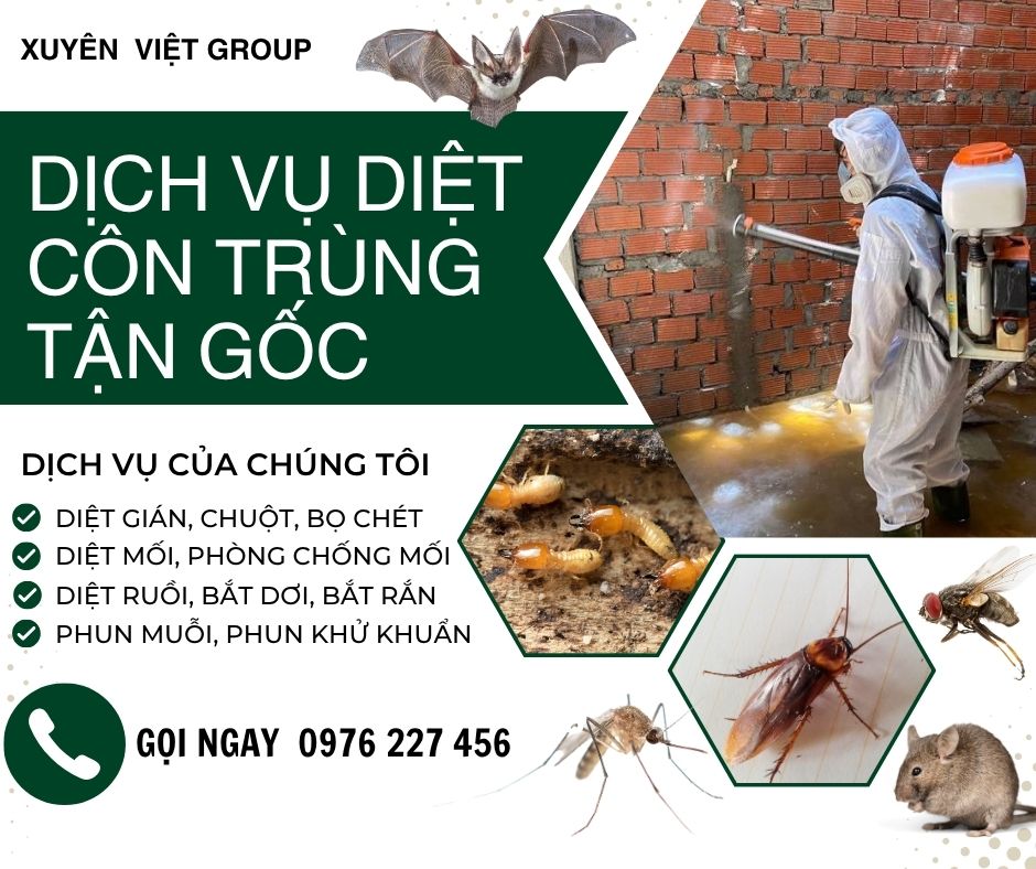 diệt côn trùng tận gốc