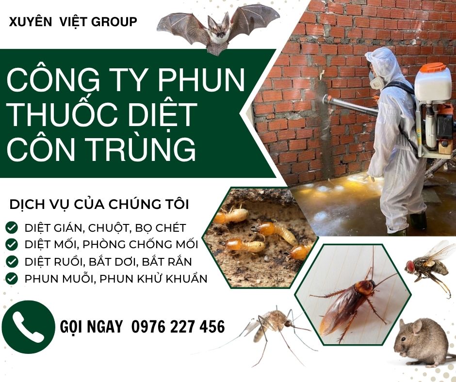 Công ty phun thuốc diệt côn trùng