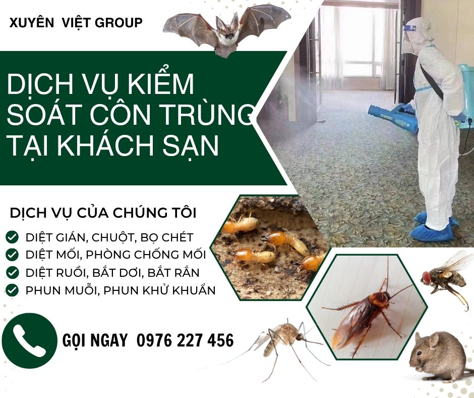 Dịch vụ kiểm soát côn trùng khách sạn