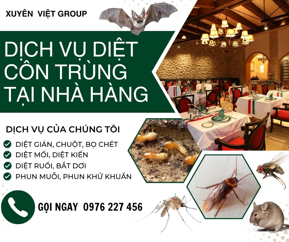 Dịch vụ diệt côn trùng nhà hàng