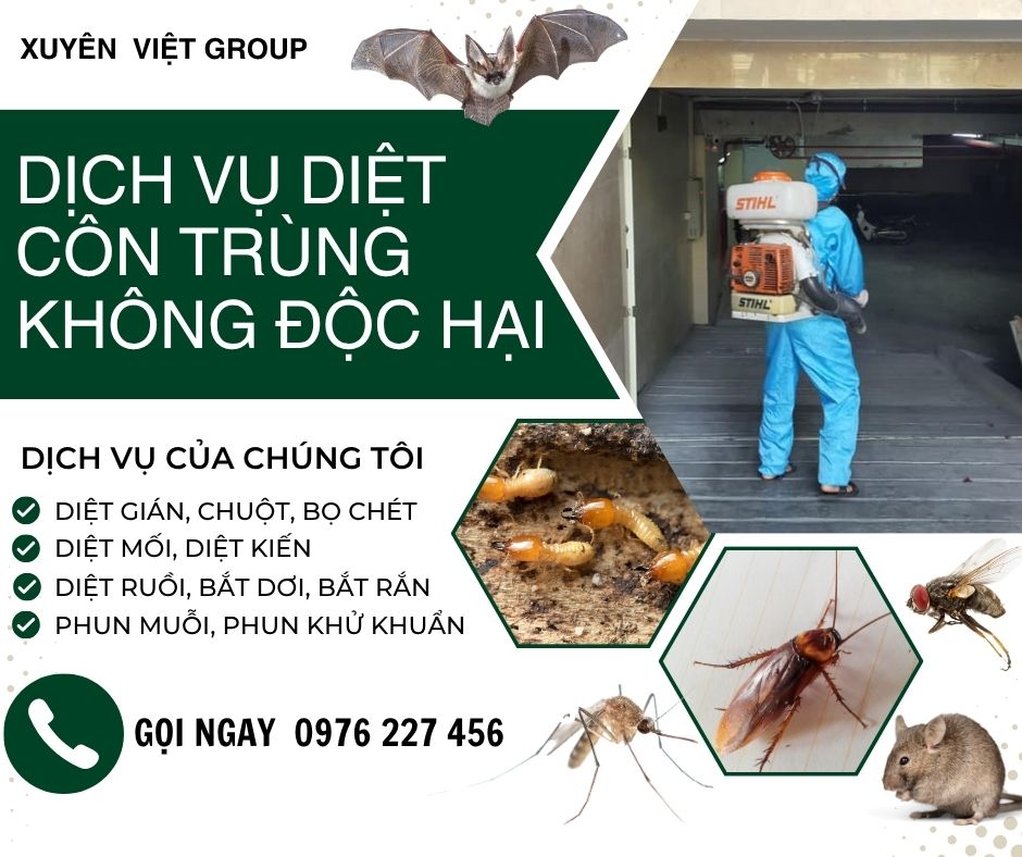Diệt côn trùng không độc hại