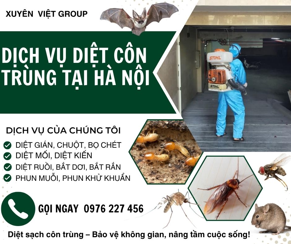 Dịch vụ diệt côn trùng tại Hà Nội giá rẻ