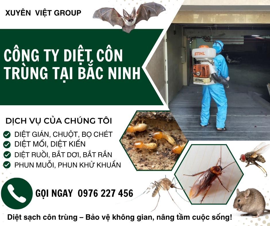 Công ty diệt côn trùng tại Bắc Ninh