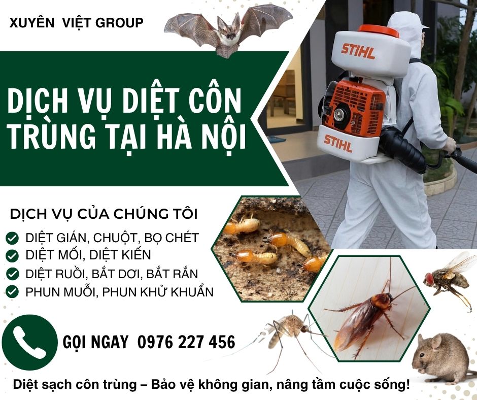 Thuê dịch vụ diệt côn trùng Hà Nội giá rẻ