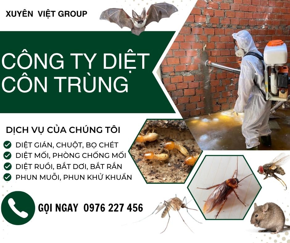 Công ty diệt côn trùng